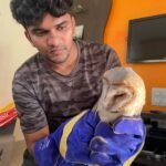 WhatsApp Image 2026-01-24 at 6.25.43 PM