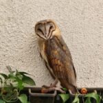 WhatsApp Image 2026-01-25 at 5.01.01 PM (1)