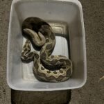 WhatsApp Image 2026-01-25 at 5.01.01 PM (2)