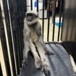 WhatsApp Image 2026-01-25 at 5.01.01 PM (3)